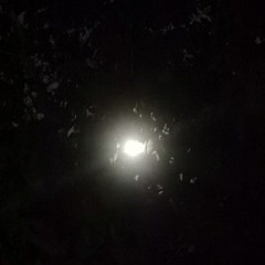 Lucien - September Set