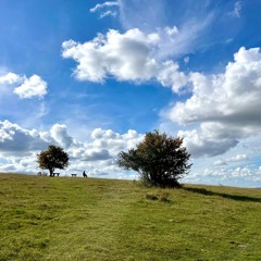 United Kingdom - Badbury Rings, gusting winds and birdsong on the downs