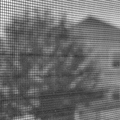 If It Even Meant Anything