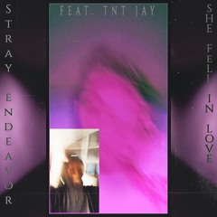 She Fell In Love (feat. TNT Jay)[Prod. Taylor King & StrayEndeavorproductions]