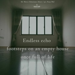 Endless echo footsteps on an empty house once full of life naviarhaiku 512