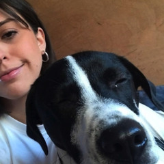 Ambush: 7th November '25