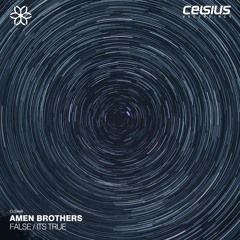 Amen Brothers - It's True