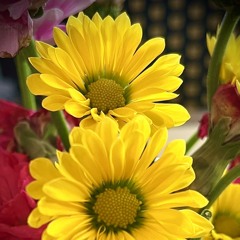 regardless (your own)