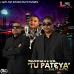 Midland Djs N DJ Anil - Tu Pateya
