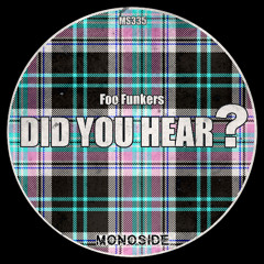 Foo Funkers - DID YOU HEAR? // MS335