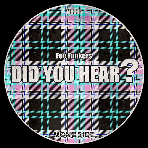 Foo Funkers - DID YOU HEAR? // MS335