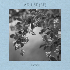 ÆXXXVI - Adjust (BE)