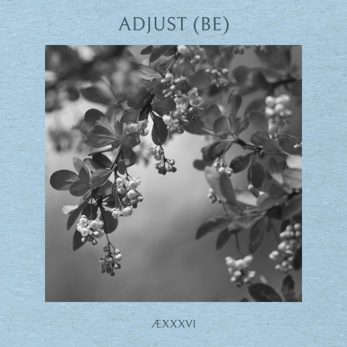 ÆXXXVI - Adjust (BE)