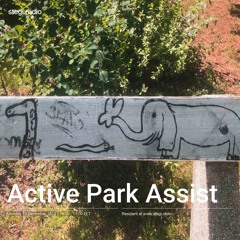 Active Park Assist - Embrace the future of parking