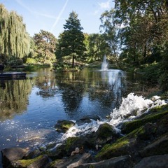 Part of Your World [The Little Mermaid] Beautiful Piano