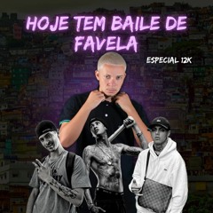 ESPECIAL 12K - HOJE TEM BAILE DE FAVELA - DJ PL O PSICOPATA