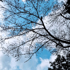 落葉日和-piano solo