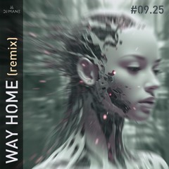 Way Home (remix)