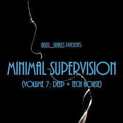 Minimal Supervision Vol. 07