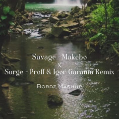 Savage - Makebo x Surge - Proff & Igor Garanin Remix  Bordz Mashup