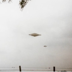 Ufo pt2