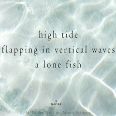 Tide in Vertical Waves [NaviarHaiku430]