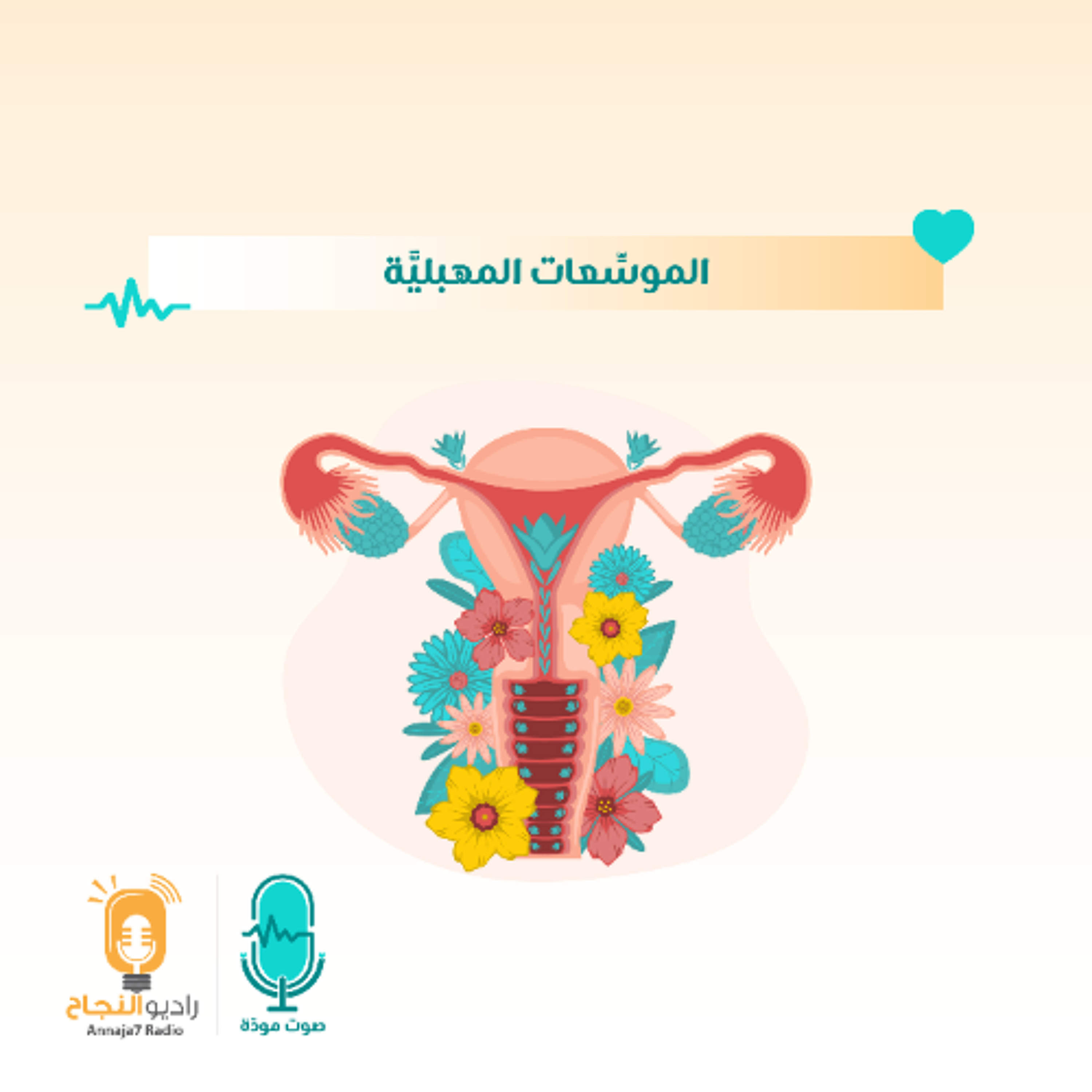 الموسِّعات المهبليَّة