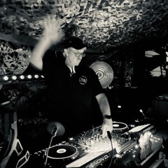 Ziggy V'Niles @ 5 Jahre Techno Truck Festival