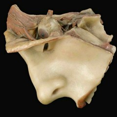 Give God Control (prod. hoodrxch)