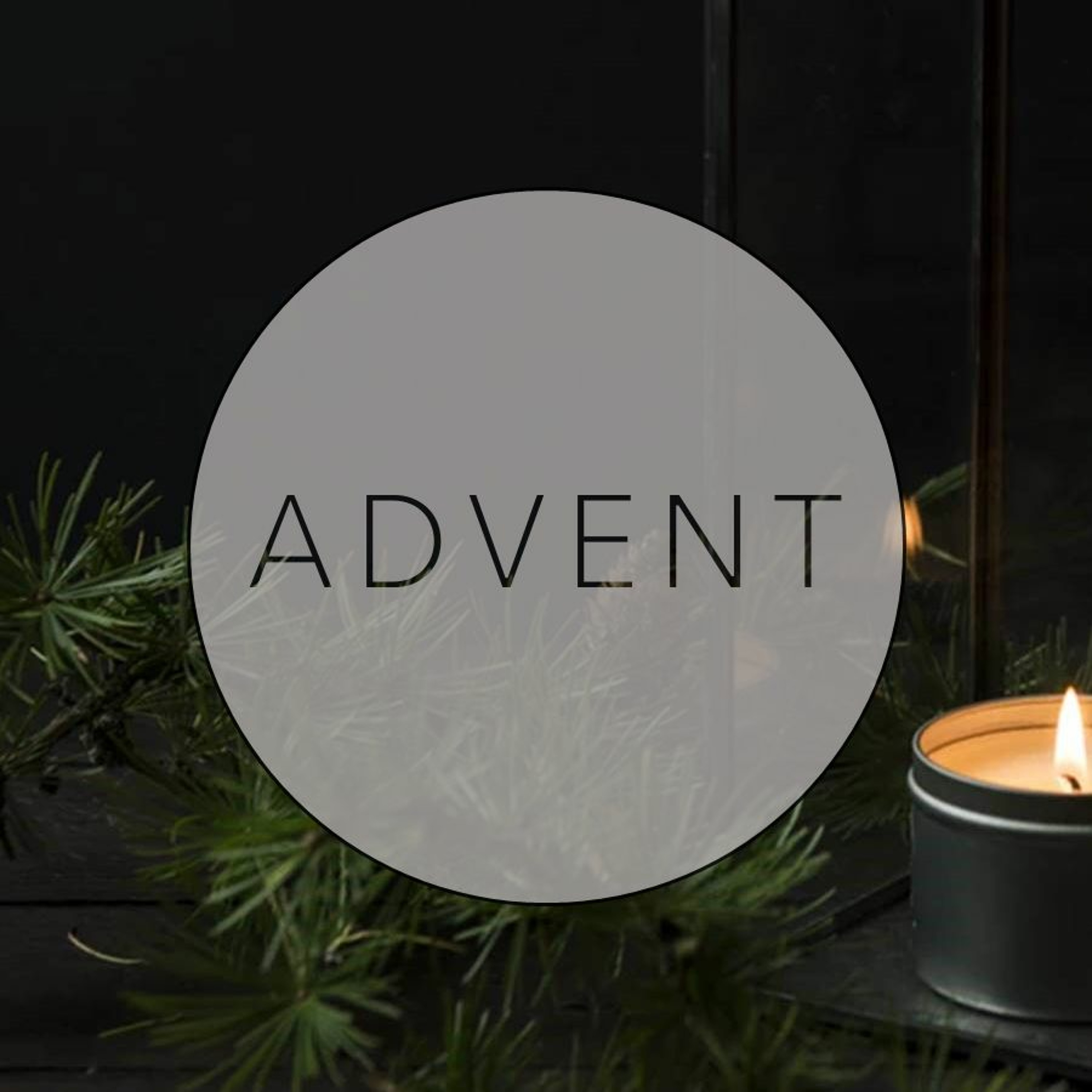 Advent 2023: Grace Amidst Darkness - Alice Gray