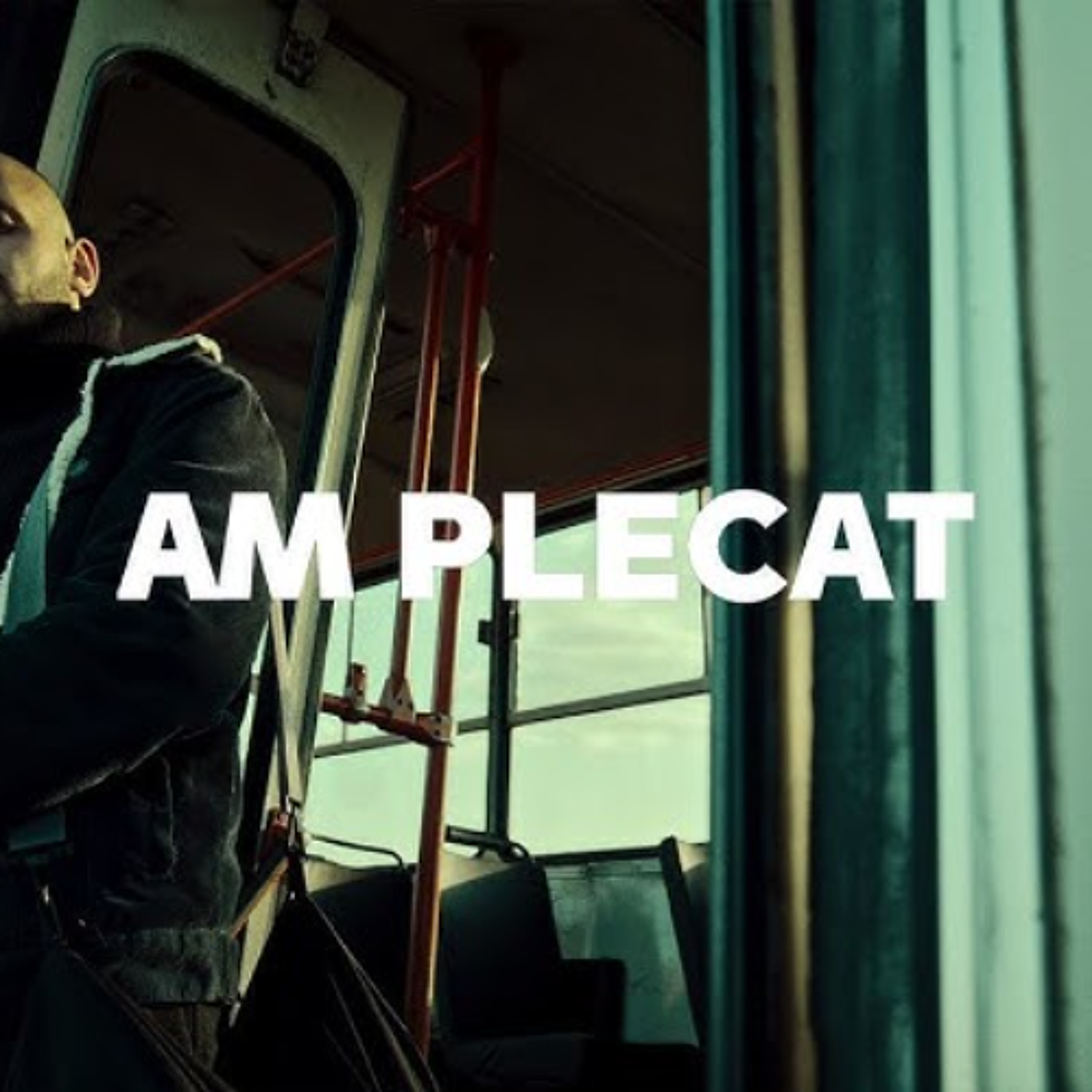 Cat\'s Music | Romania