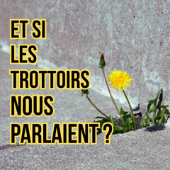 Et si les trottoirs nous parlaient - EP01-Logement