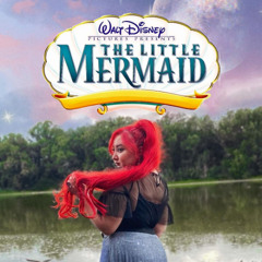 Part Of Your World (cover)