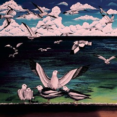 In The Land Of Seagulls feat. Luigi Manfrin  "Acrylic Mixtures" for accordion solo