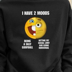 I Have 2 Moods Being A Silly Goofball Hitting My Social Limit And Going Nonverbal T-Shirt