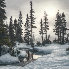 Bleak Falls