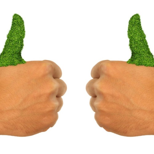 (dj ski) green thumb prod jsavant #dsc