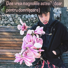 limbrici ft. labush balanel bebino acapel