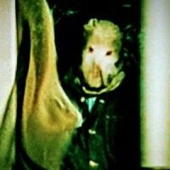 the town that dreaded sundown "prod. by lockyouindatrunk