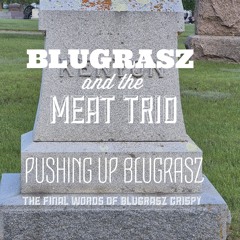 Terd Boi Bluze(last words of Bluegrasz Crispy).m4a