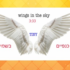Wings In The Sky - כנפיים בשמיים