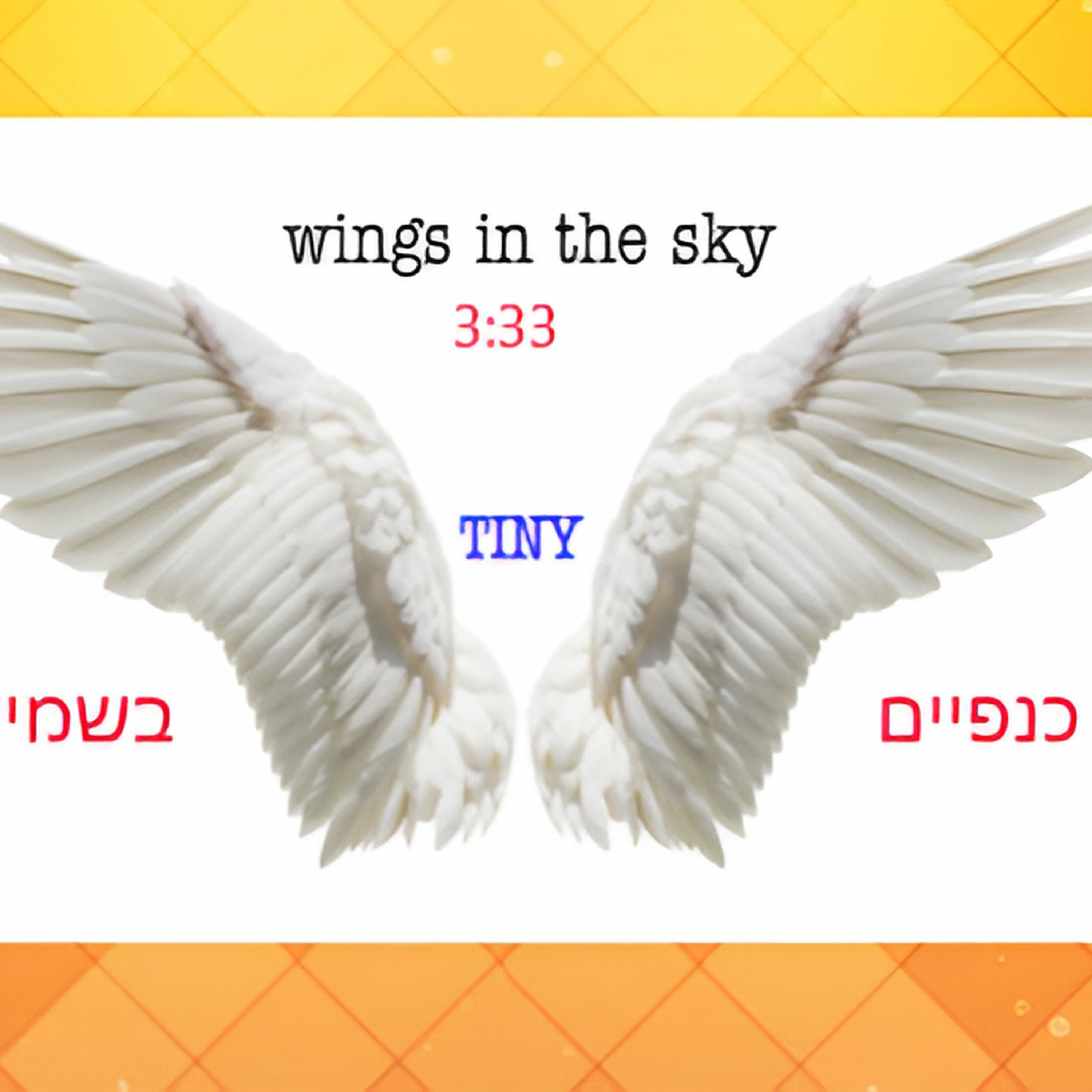 Wings In The Sky - כנפיים בשמיים episode artwork