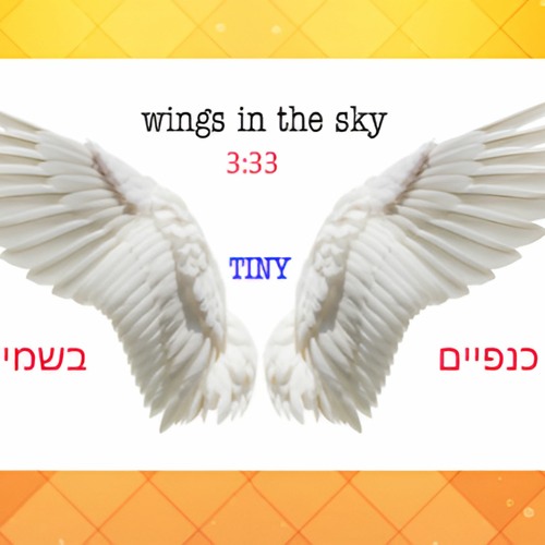 Wings In The Sky - כנפיים בשמיים