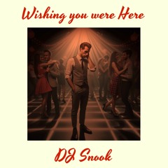 Dj Snook -Wishing you were Here