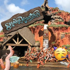 Splash Mountain bids adieu.. AND THERE WAS OUTRAGE! - Episode 212