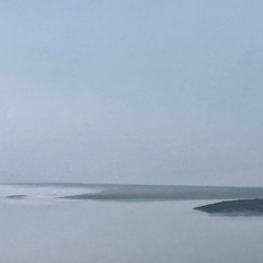 Ambient #166