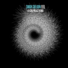 Simon Sheldon - Feel (D-Echo Project Remix) Preview