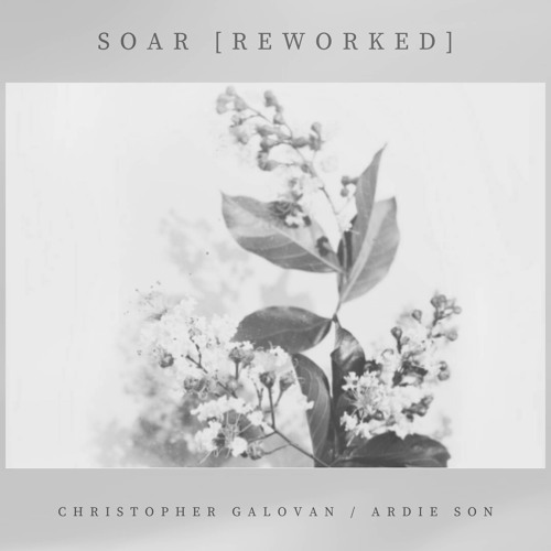 Soar (Reworked) [feat. Ardie Son]