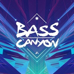 Bass Canyon Mini-mix