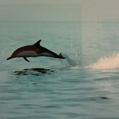 HEARTBEAT (EXCLU BPM RADIO)