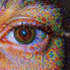 Sassafras Tree & Lintu - Symbiotic Relationship (Original Mix) [FREE DOWNLOAD]