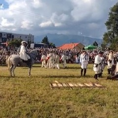 Vavrisovo Battle
