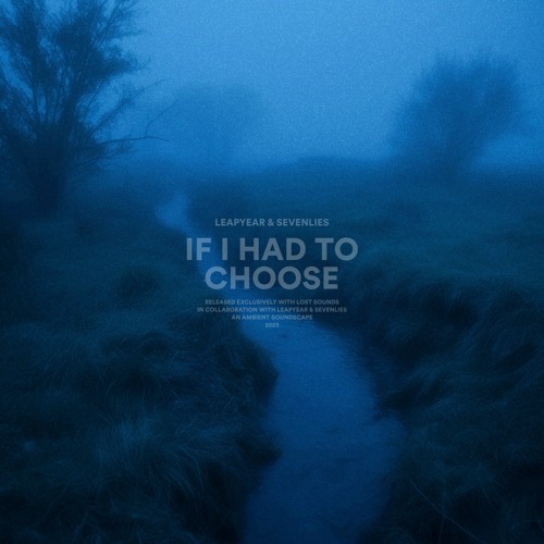 leapyear x sevenlies - if i had to choose