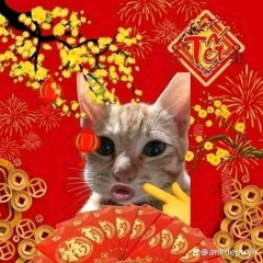 Tết Này Anh Không Thèm Kẹo Mứt Vì Đã Có Môi Em Thơm Ngọt Tựa Sen Hồng